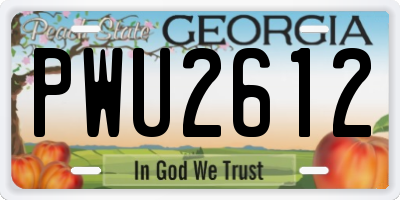 GA license plate PWU2612