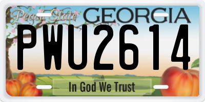 GA license plate PWU2614