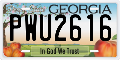GA license plate PWU2616