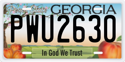 GA license plate PWU2630