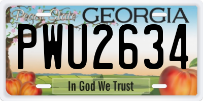 GA license plate PWU2634