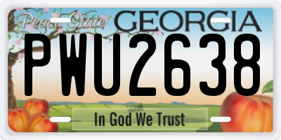GA license plate PWU2638