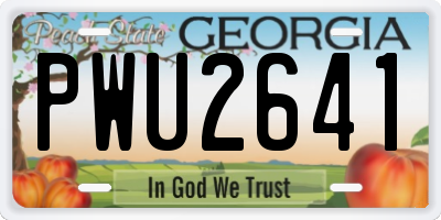 GA license plate PWU2641