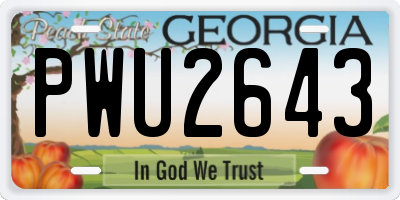 GA license plate PWU2643