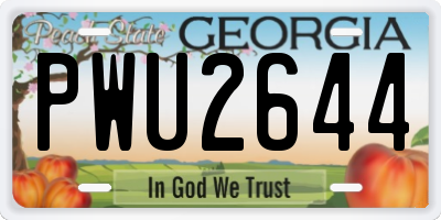 GA license plate PWU2644