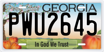 GA license plate PWU2645