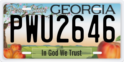 GA license plate PWU2646