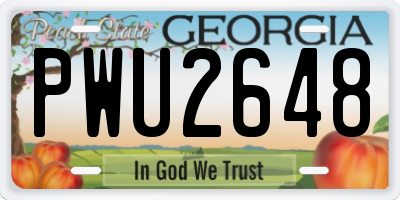 GA license plate PWU2648