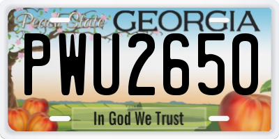 GA license plate PWU2650