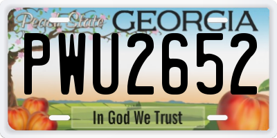 GA license plate PWU2652