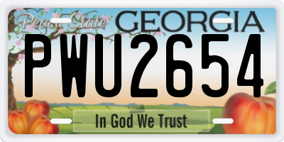 GA license plate PWU2654