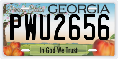 GA license plate PWU2656