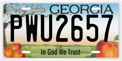 GA license plate PWU2657