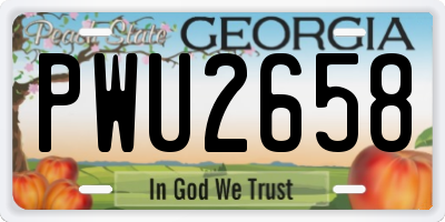 GA license plate PWU2658