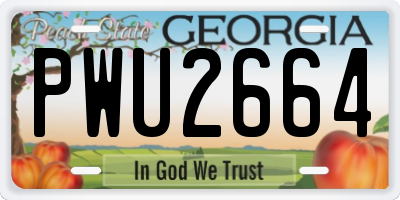 GA license plate PWU2664