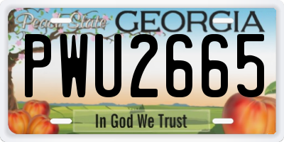 GA license plate PWU2665