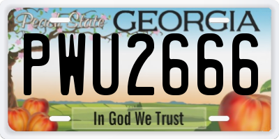 GA license plate PWU2666