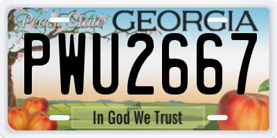 GA license plate PWU2667