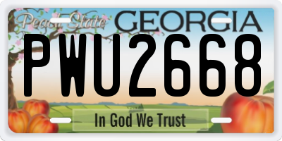 GA license plate PWU2668