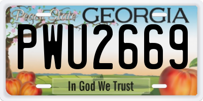 GA license plate PWU2669