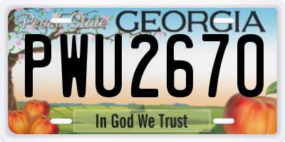 GA license plate PWU2670