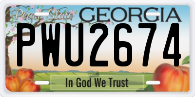 GA license plate PWU2674