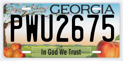 GA license plate PWU2675