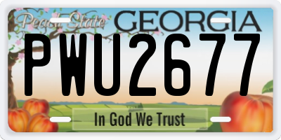 GA license plate PWU2677
