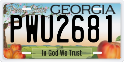 GA license plate PWU2681