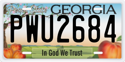 GA license plate PWU2684