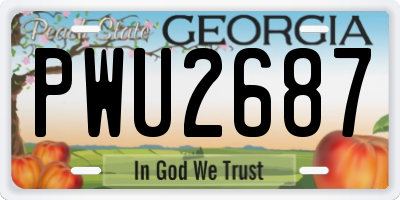 GA license plate PWU2687