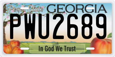 GA license plate PWU2689