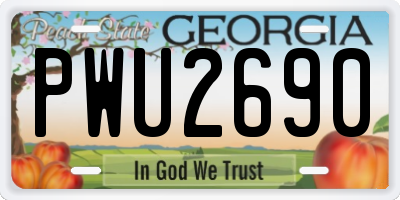 GA license plate PWU2690
