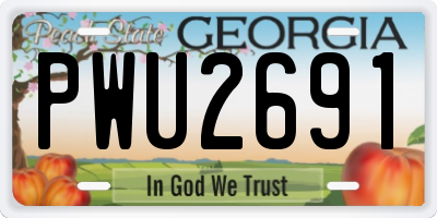 GA license plate PWU2691
