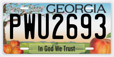 GA license plate PWU2693