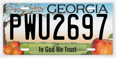 GA license plate PWU2697