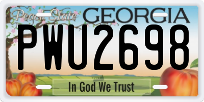GA license plate PWU2698