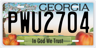 GA license plate PWU2704