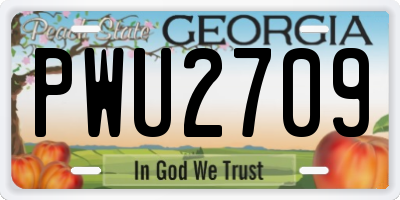 GA license plate PWU2709