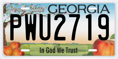 GA license plate PWU2719