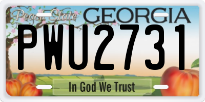 GA license plate PWU2731