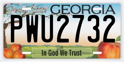 GA license plate PWU2732