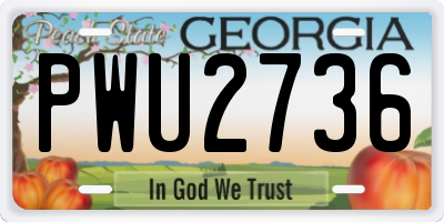 GA license plate PWU2736