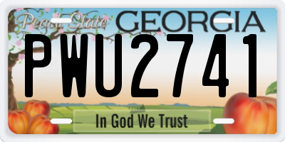 GA license plate PWU2741