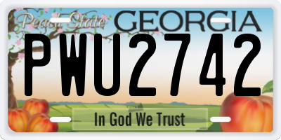 GA license plate PWU2742