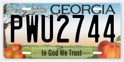 GA license plate PWU2744