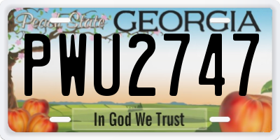 GA license plate PWU2747