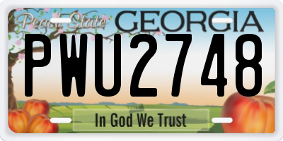 GA license plate PWU2748