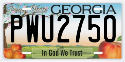 GA license plate PWU2750