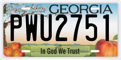 GA license plate PWU2751